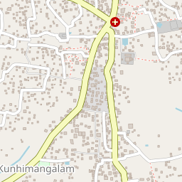 Kunhimangalam Sree Malliyottu Palottu Kavu