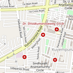 Shri Raghavendra Swamy Mutt