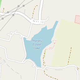 Tharalu estate lake