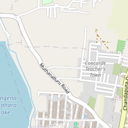 Singena Agrahara lake/Kere