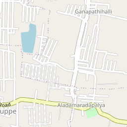 Dodda Aalada Mara