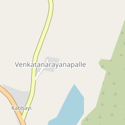 Venkatanarayana palli