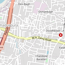Shri AshtaBhuja Durga Mata Mandir | Sri Devi Bagh Mandir
