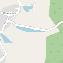 pillalavalasa