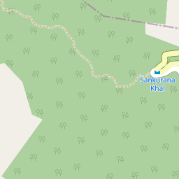 Sankruna Dhar Devi