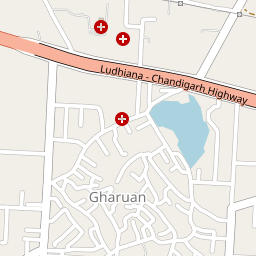 Saraswati Ayurved Hospital and Medical College