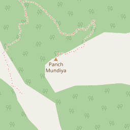 Pine Hills Eco Camp