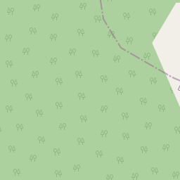 Forest Kila Koke