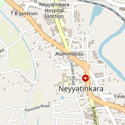Neyyattinkara Sreekrishna Swami Temple