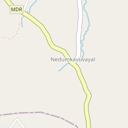 Pine Forest (Kanakappalam-Vechoochira Rd)