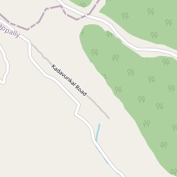 Vettukkallelpaara
