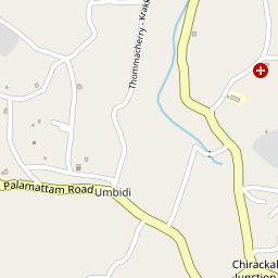 Sreerangom C V N Kalari Chikilsakendram (Ayurveda Hospital)