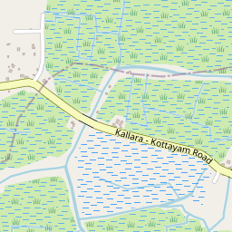 Punchavayalkattu View Point